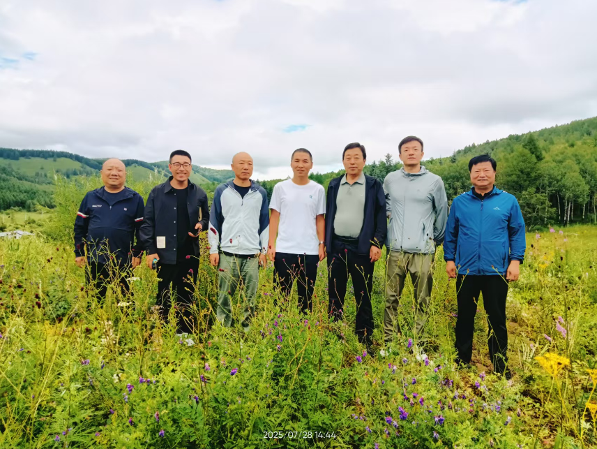 牙克石市鸣鑫矿业有限公司牙克石市一十七公里铅锌钼矿年采选100万吨铅锌钼多金属矿石建设项目尾矿库安全预评价