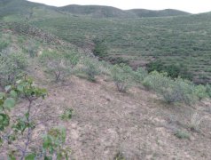 安全评价报告公示（林西县宏义矿业有限责任公司萤石矿500t/d选矿厂尾